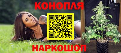 метадон Тула