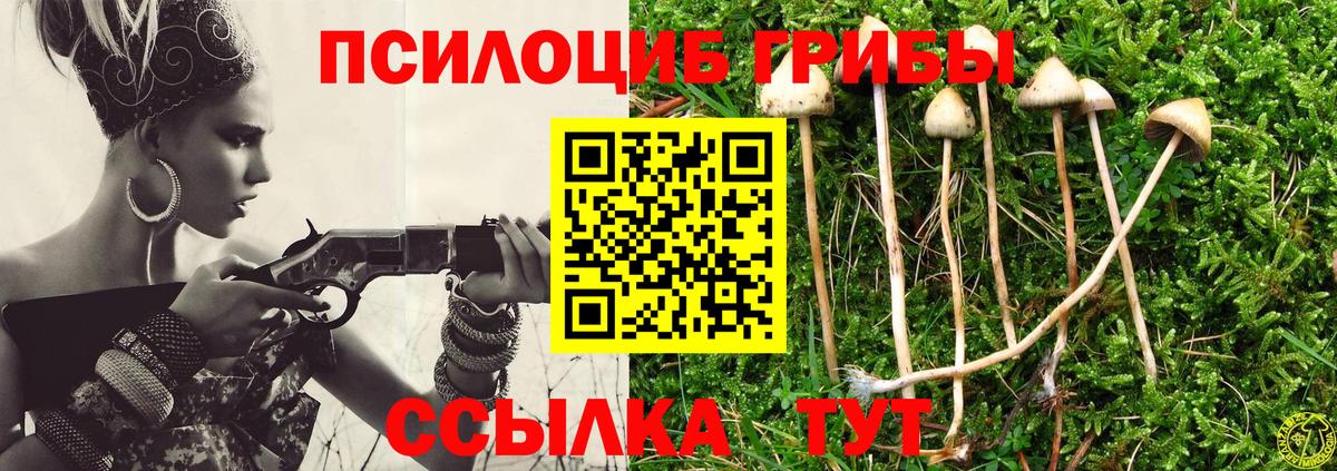 Галлюциногенные грибы Psilocybe Тольятти