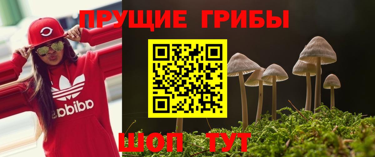 Псилоцибиновые грибы MAGIC MUSHROOMS  Псилоцибиновые грибы GOLDEN TEACHER  Вход с VPN  Тольятти 